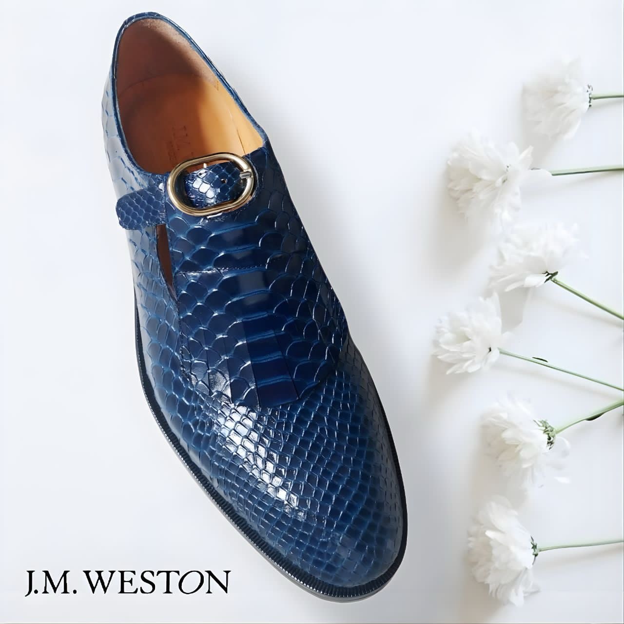 PAPYCOTY Collection 26