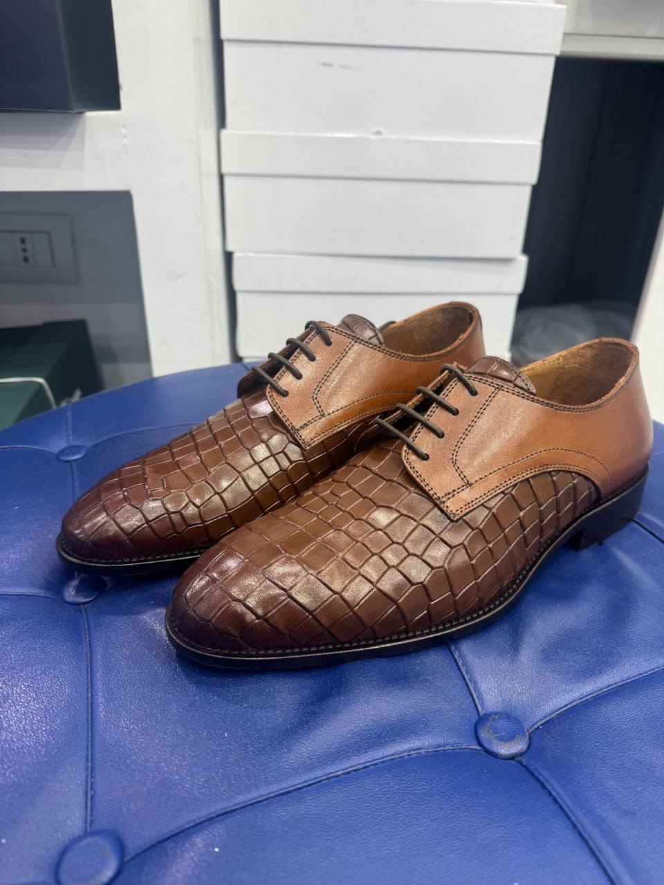 PAPYCOTY Collection 3