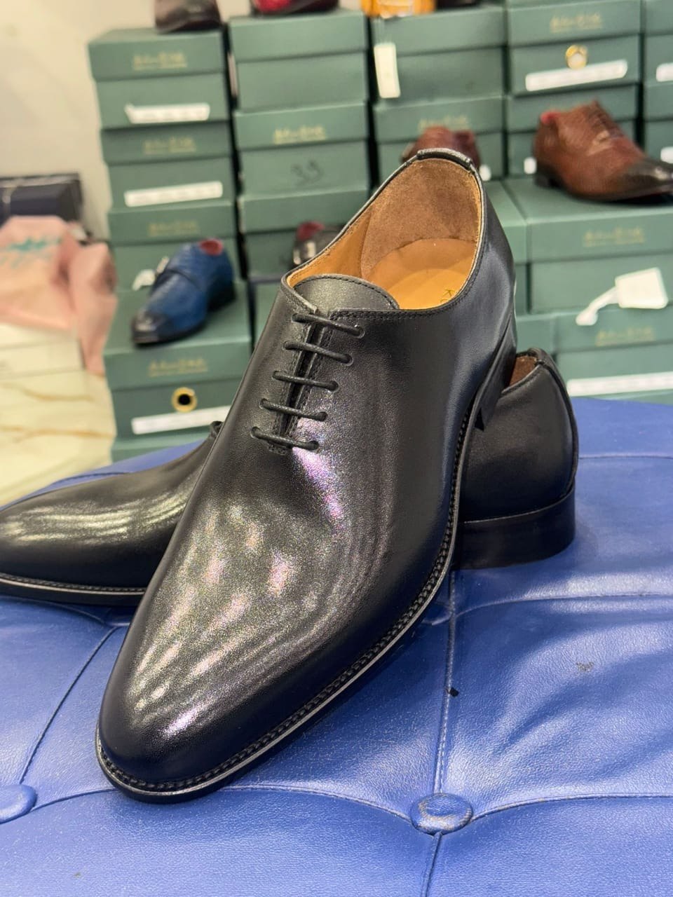 PAPYCOTY Collection 5