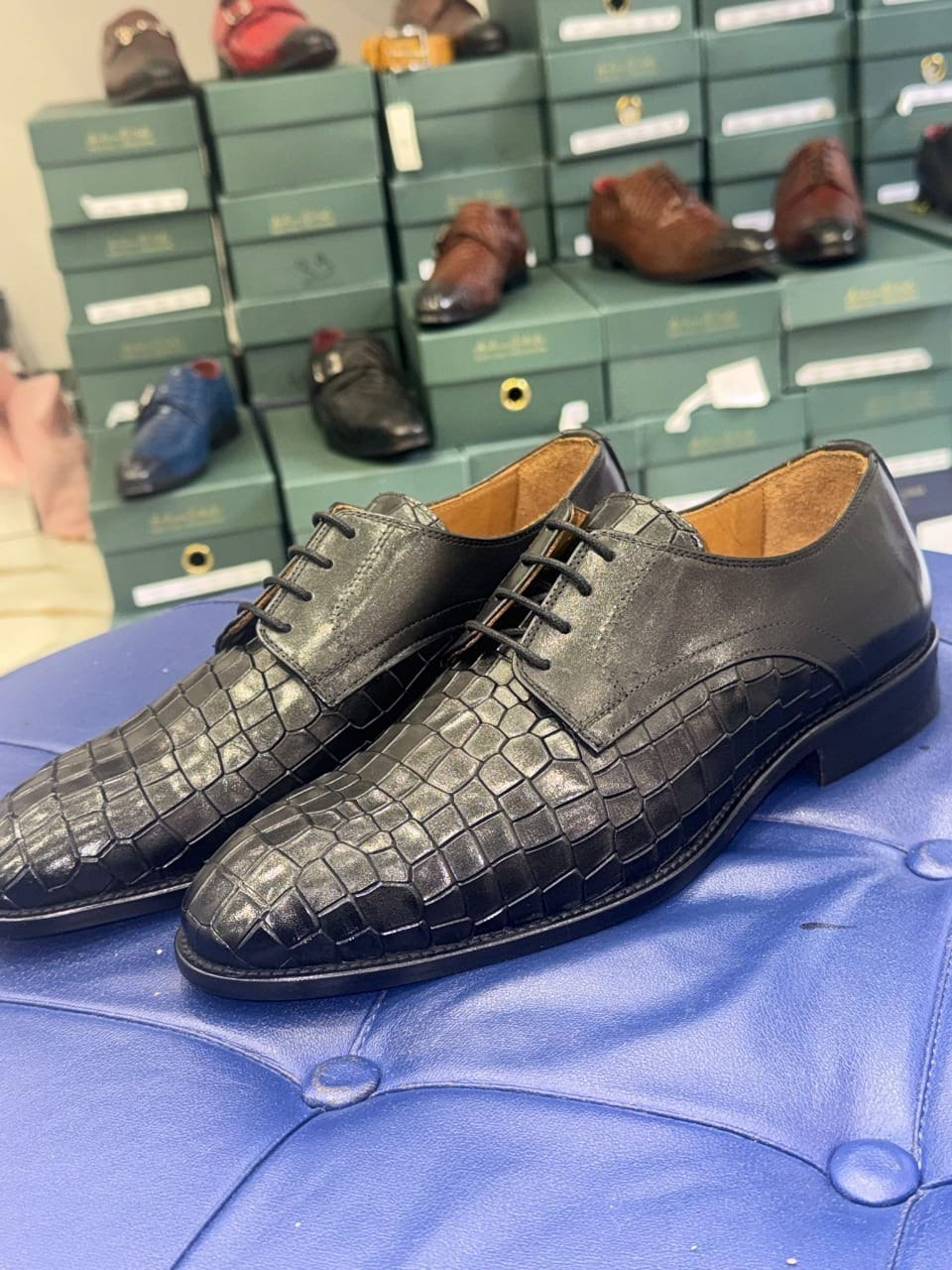 PAPYCOTY Collection 6