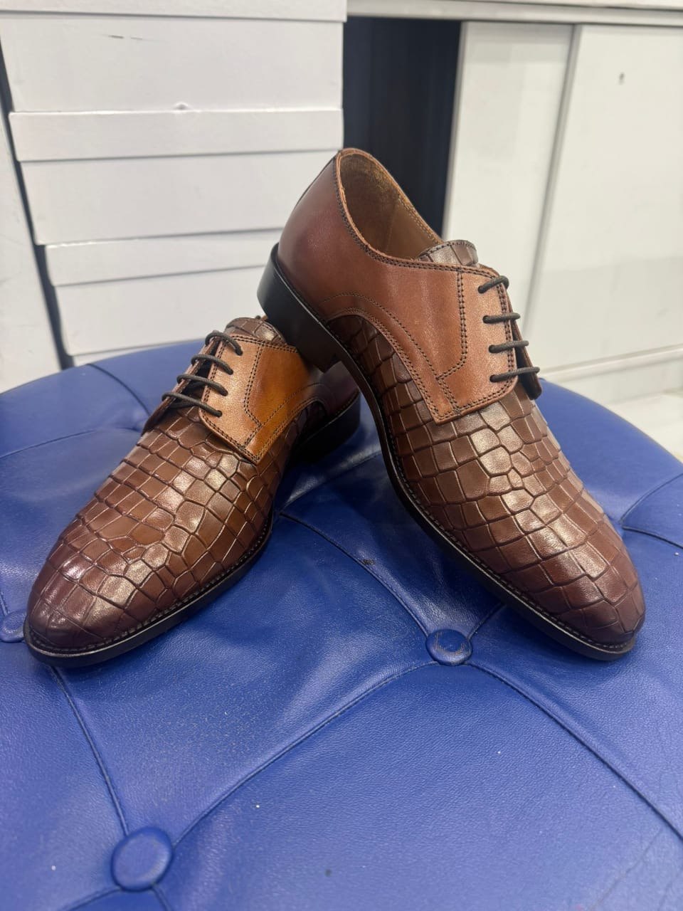 PAPYCOTY Collection 8